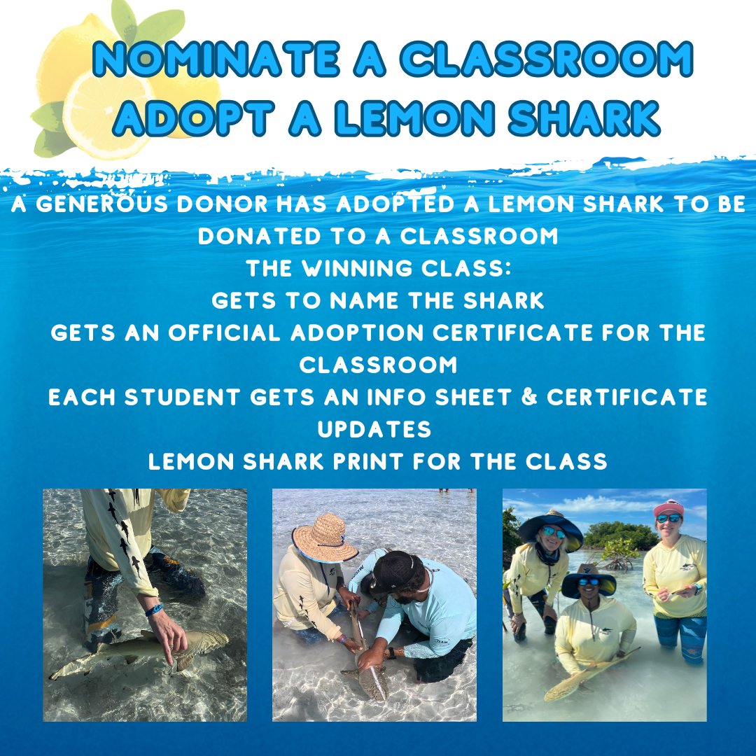 🦈 NOMINATE A CLASS 🦈

A generous donor has adopted a lemon shark to donate to a classroom. 

Fill in the form to nominate 
forms.gle/anwQMCZpnFTP8p…

Open till Friday, Jan 24 at 5 pm EST 
The winning class will be announced Monday Jan 27

#lemonsharks #sharkscience