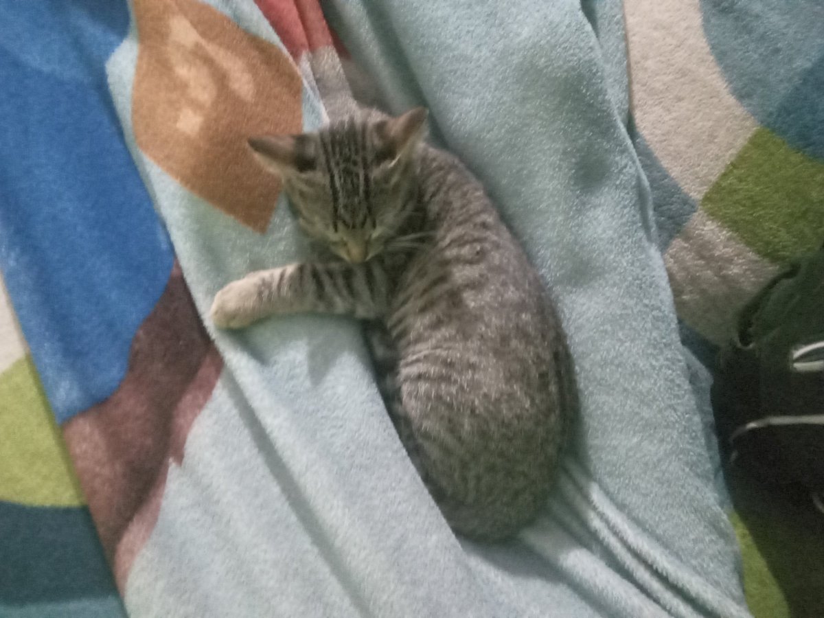 ☆Adely flopero☆ tweet media