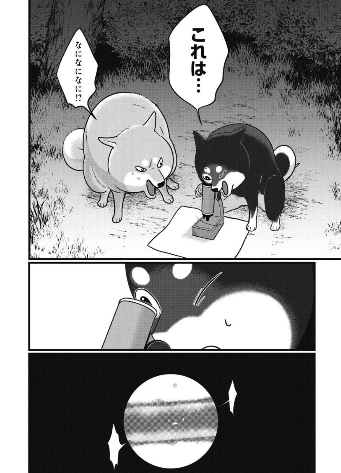 ちくわ※プロフィール必読様☆