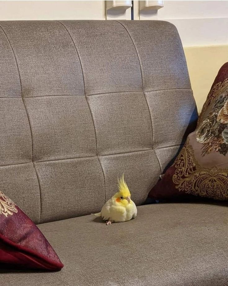 sit