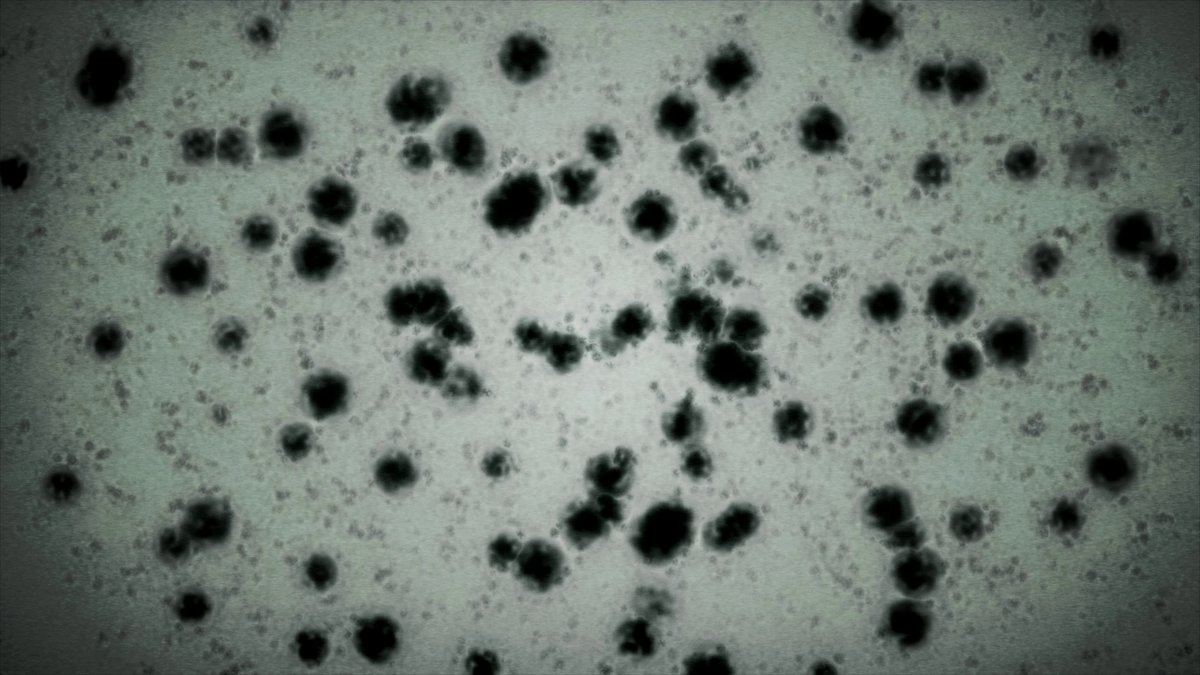 The ending of RE8 revealed that the BSAA is using bioweapons. This twist, bares the question, what KIND of bioweapons? With only a quick glimpse and so many BOW types in Resident Evil, let's analyze the BSAA's new soldiers and see what virus/parasites made them.
1/9
#REBHFun