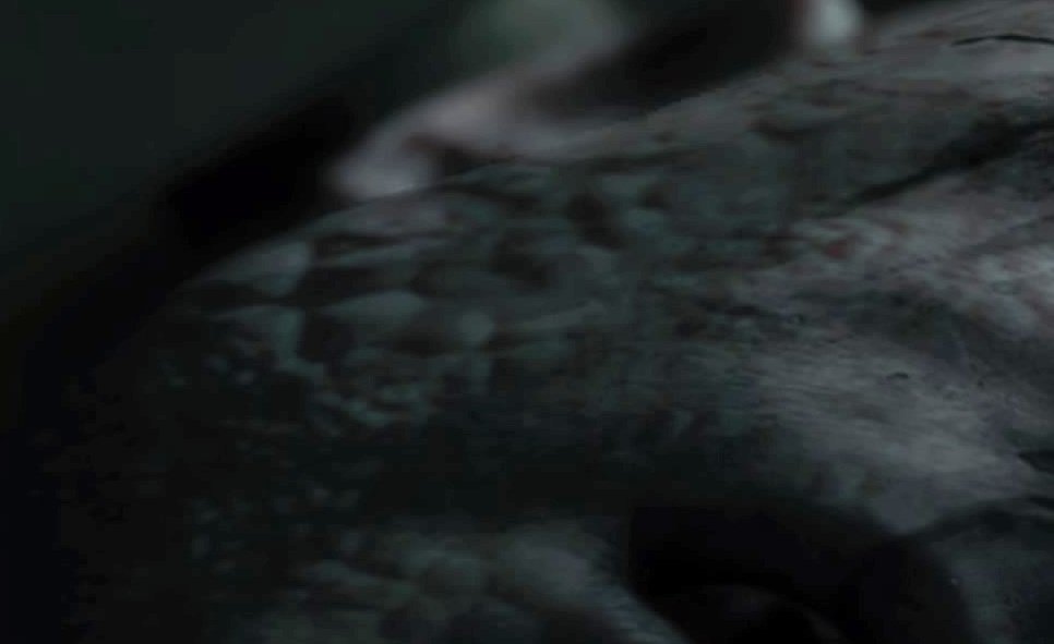 So brightening up the one image Chris sees of these monsters reveals a blank stare on a dead BOW. Looking at its face, though, reveals many details about these things and what made them. First of all, there's some rotting/bubbling flesh on the right side of its cheek.
2/9