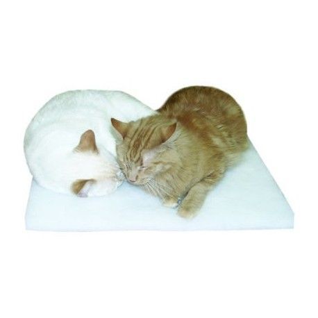 CatClawsInc's tweet photo. 🐱 Spoil your furry friend! Check out our purr-fect toys, beds, and treats designed just for them. Shop now: https://t.co/wYs7Ow8PYy https://t.co/oa5YRgXyhr
