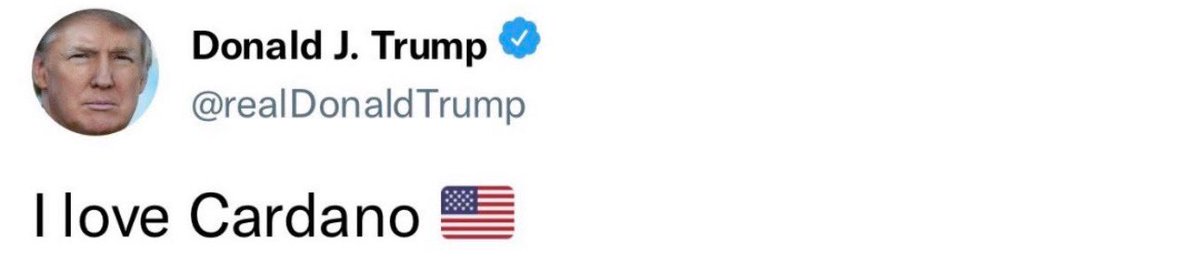 saylorPar's tweet photo. Trump loves #Cardano 🚀 https://t.co/M4dPrT24bt