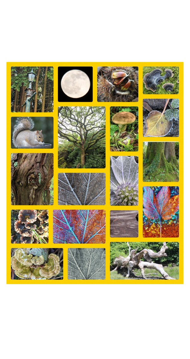 HanBlossomsArt1's tweet photo. Patterns in Nature Poem, #photography I've taken, throughout Wales. Mostly in #pembrokeshire & North Wales, holiday, 2024. Amazing #sandart created by Sand & Sea. I look out for, #patterns in sand, rocks, sky & tree bark. Inspires lots. #nature #patternsinnature https://t.co/6a3m0v6IWn