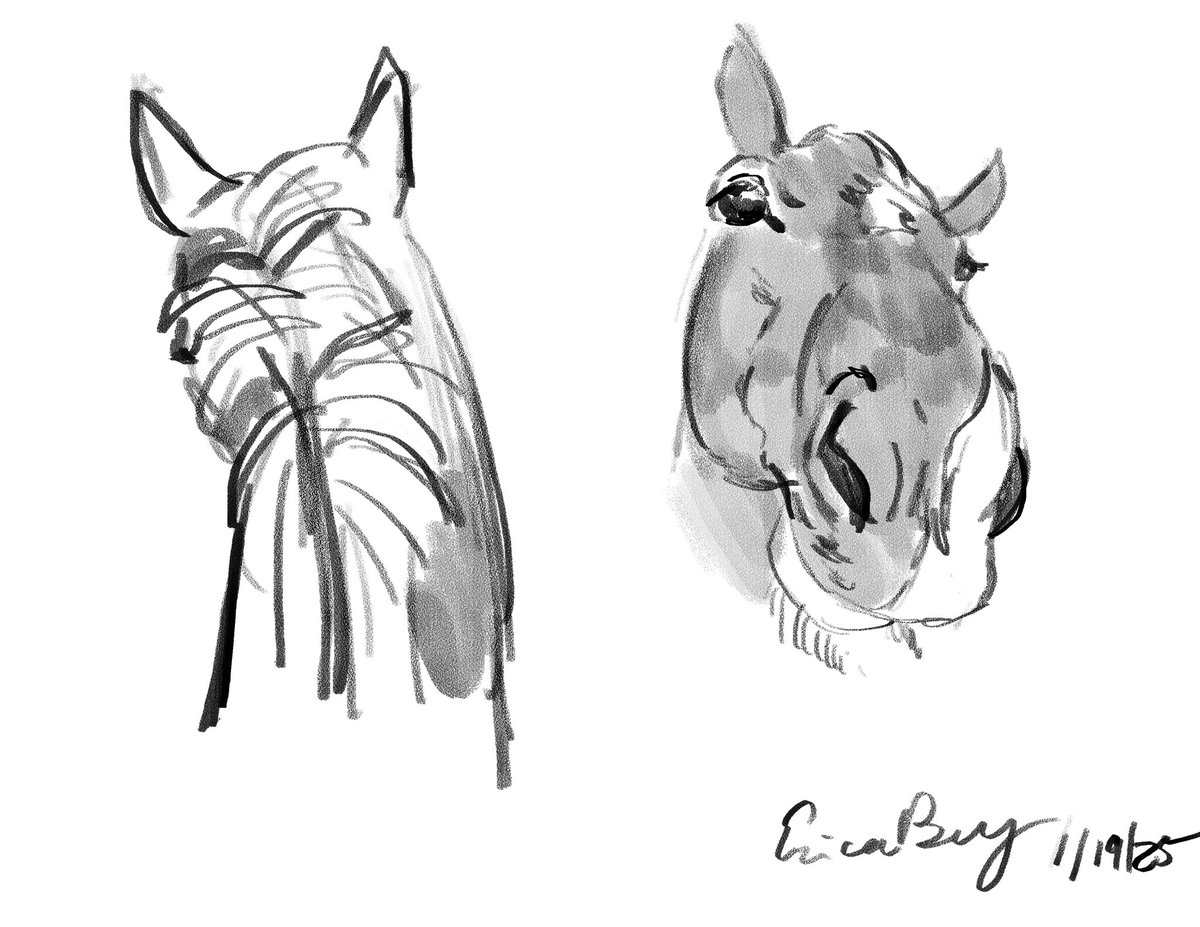 Erica Bey tweet media