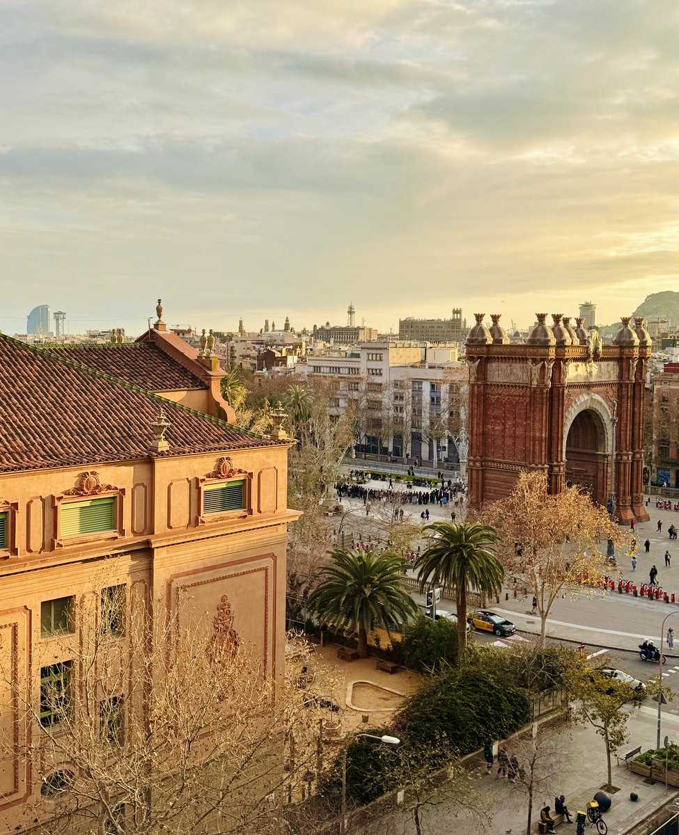 Flavia Michelini tweet media