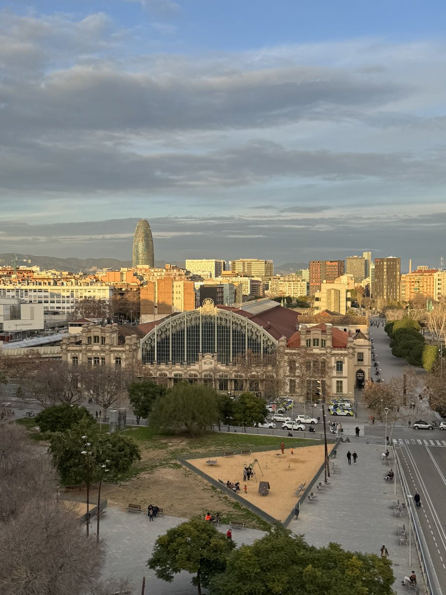 Flavia Michelini tweet media