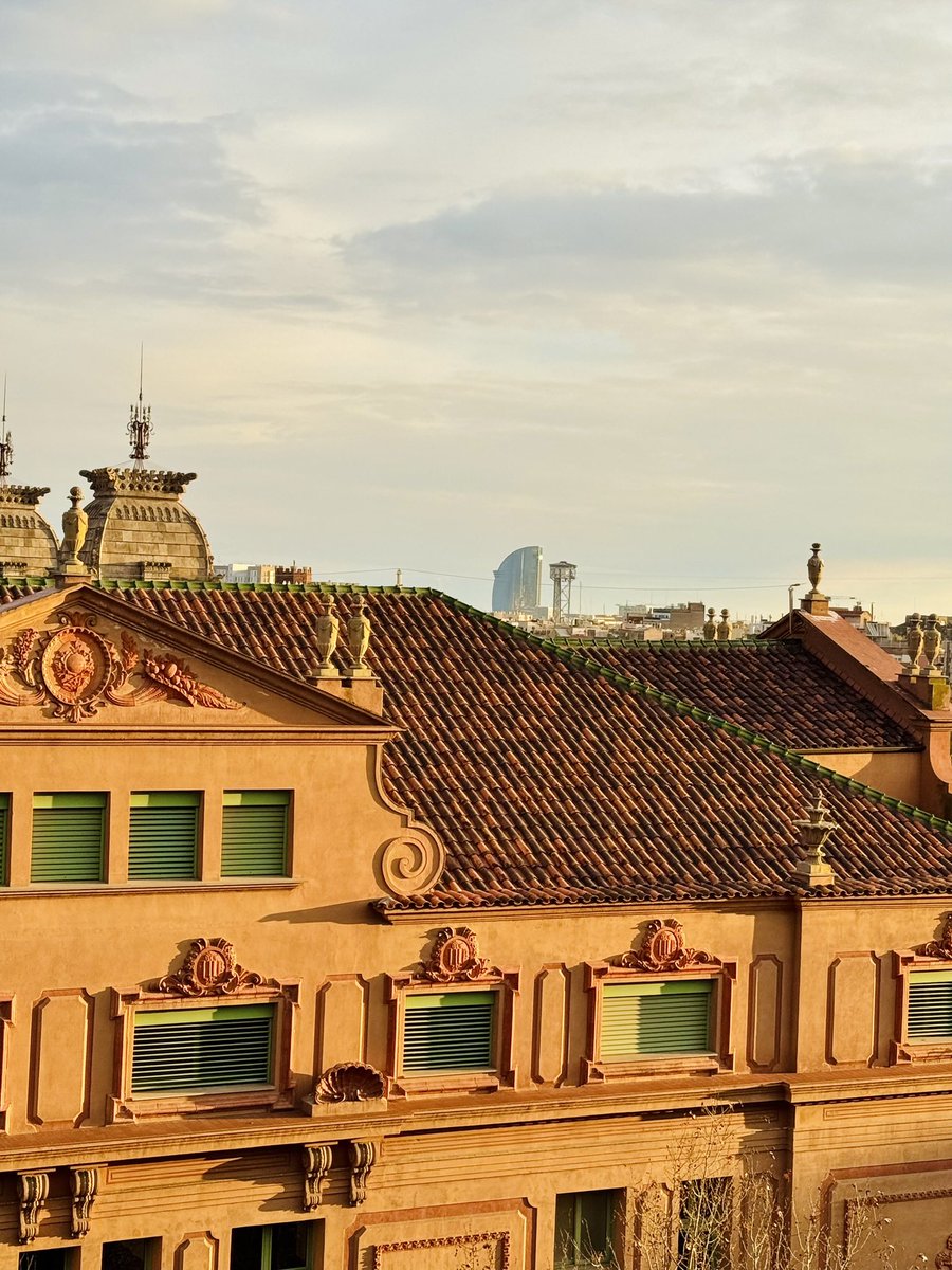 Flavia Michelini tweet media