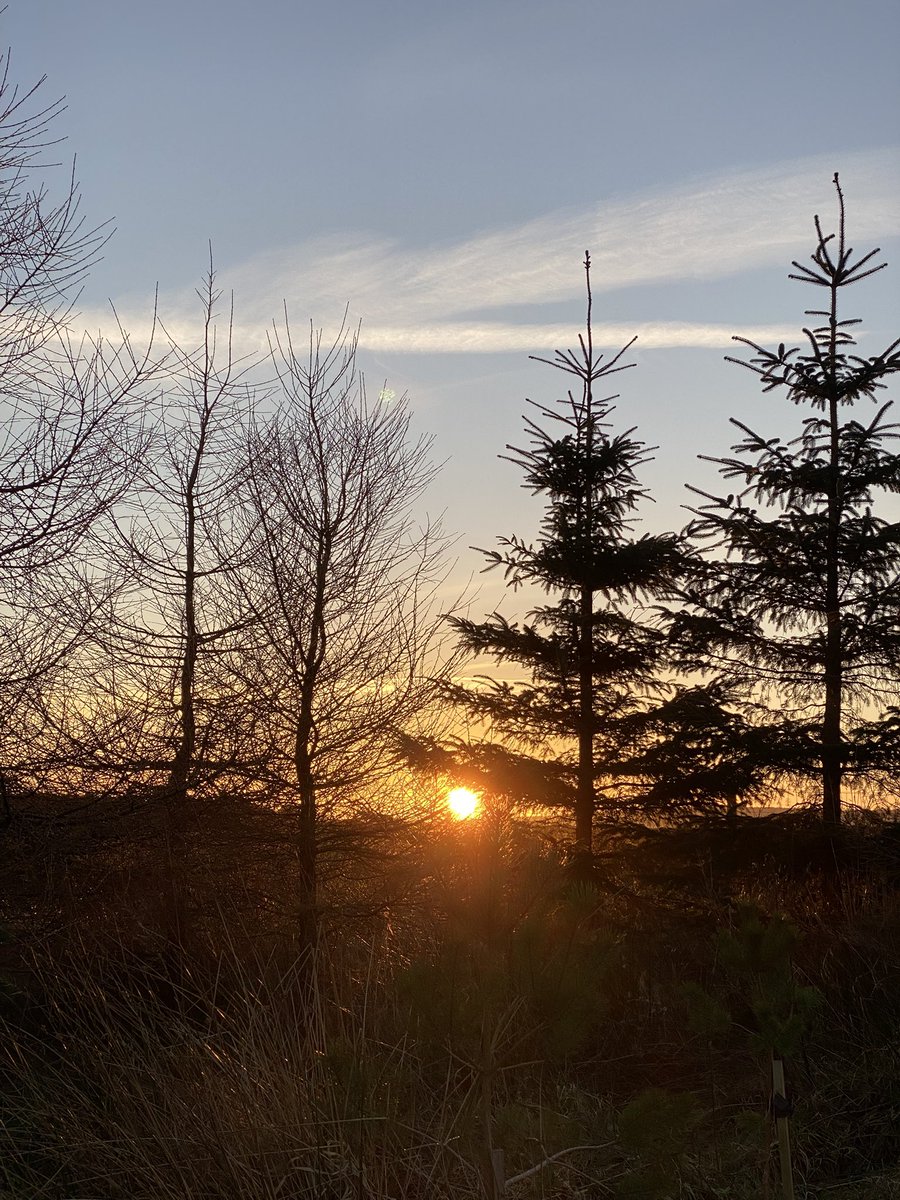 larkandlily's tweet photo. Sunsets here in wick this last week. Mother Nature is fantastic.
#scottishlass #scotlandisnow https://t.co/9kJ6inD87C