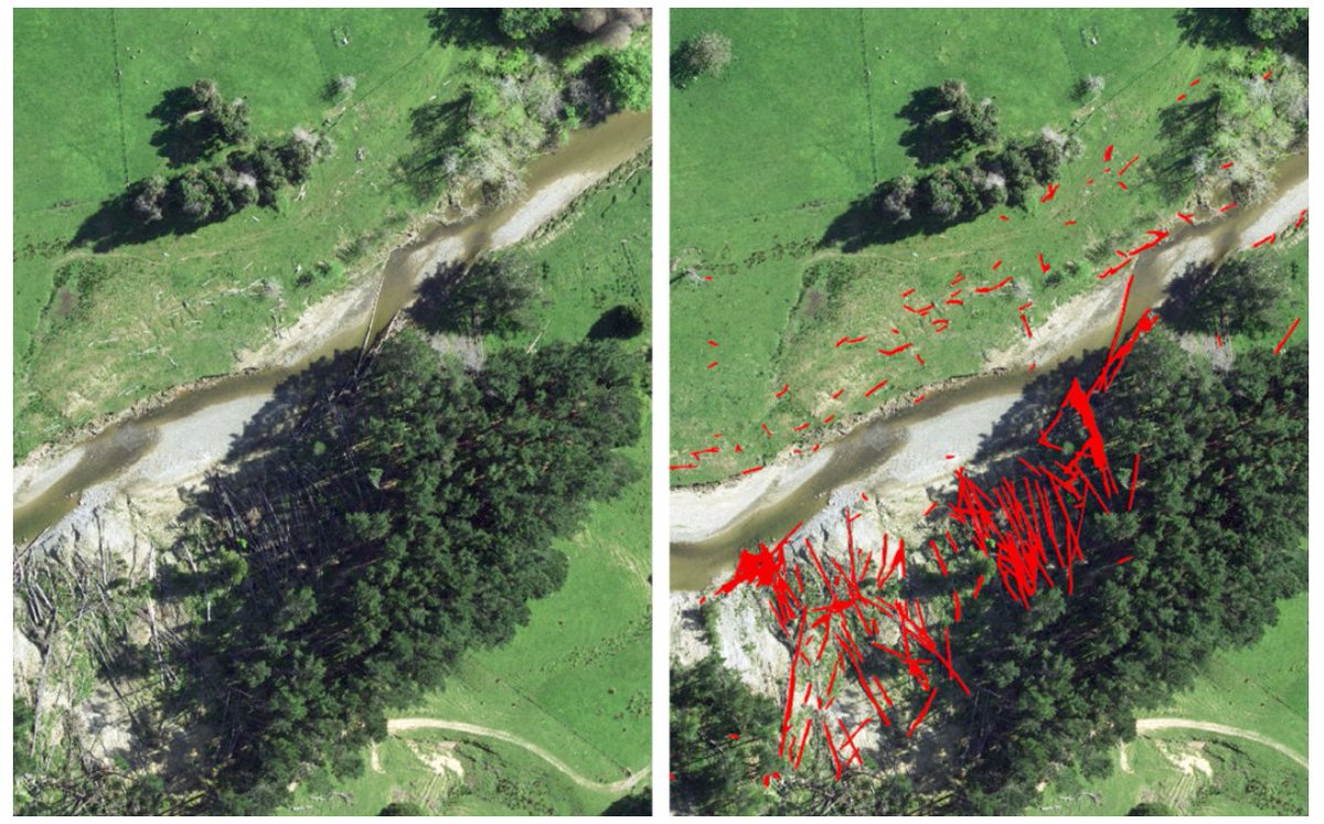 interpine_nz's tweet photo. 🌟 Revolutionize Woody Debris Detection with AI! 🌟
Traditional woody debris detection is costly, time-consuming.  Our AI detection service uses 10cm imagery to quickly and accurately identify woody debris. 
Creating a fast, cost-effective, reliable and repeatable method to map and monitor woody debris in catchments, forests and coastlines! 🌲✨

🔍 Learn more: https://t.co/KmBOKOB74b

#AI #Forestry #Innovation #WoodyDebrisDetection