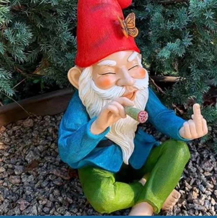 PNWSkip's tweet image. Just chill and let the MAGATS FAFO.