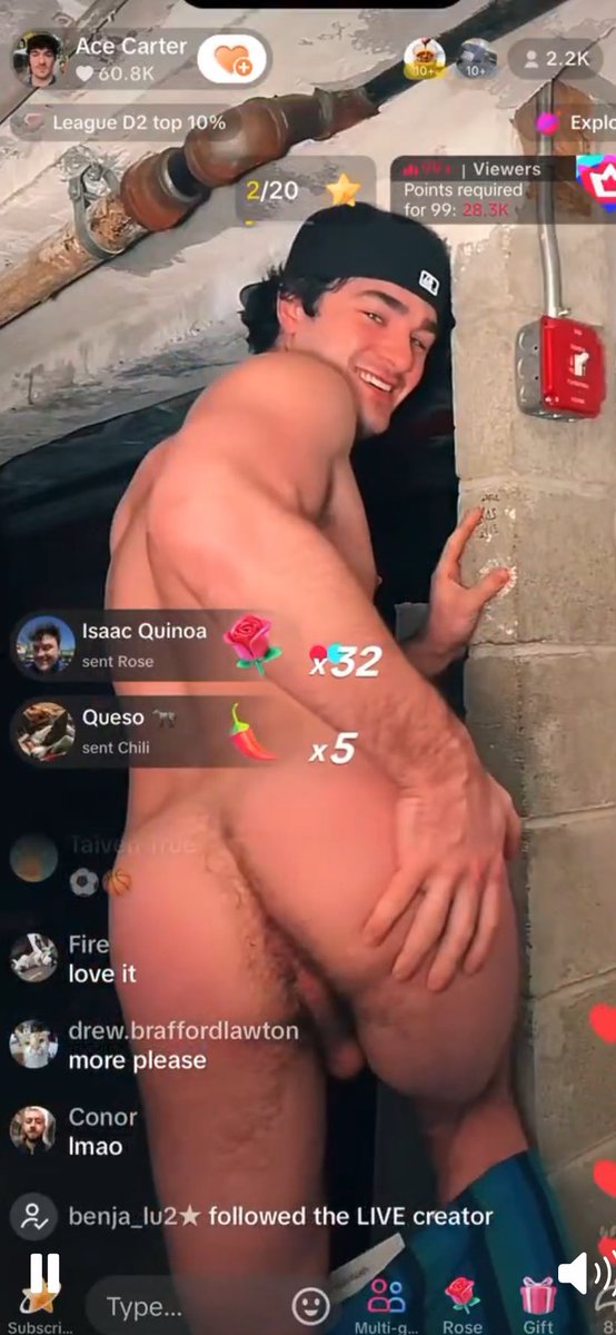 Content from trans-lays