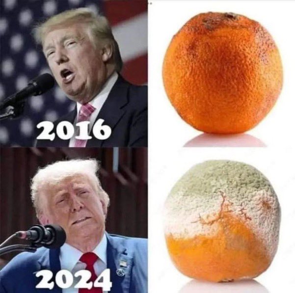 PNWSkip's tweet image. He’s getting rotten.