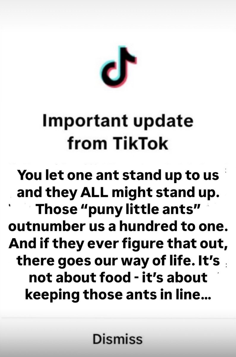 MANTICORE by A Tiger Made of Lightning (@atmolband) on Twitter photo 