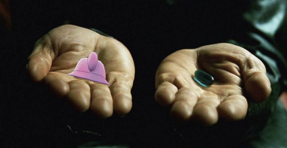 FuzzyCoinAda's tweet photo. @Maximilian419 The choice is clear https://t.co/KwpjsaCq9N