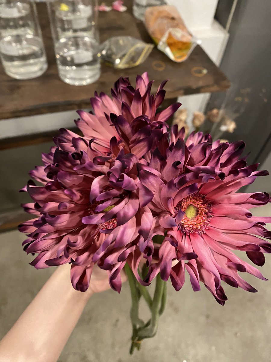 おはようございます☀️
昨日はethicaの移転前最終営業日でした💐
どんどん店内がスッキリしていって、なんだか寂しい気持ちになりました🥲