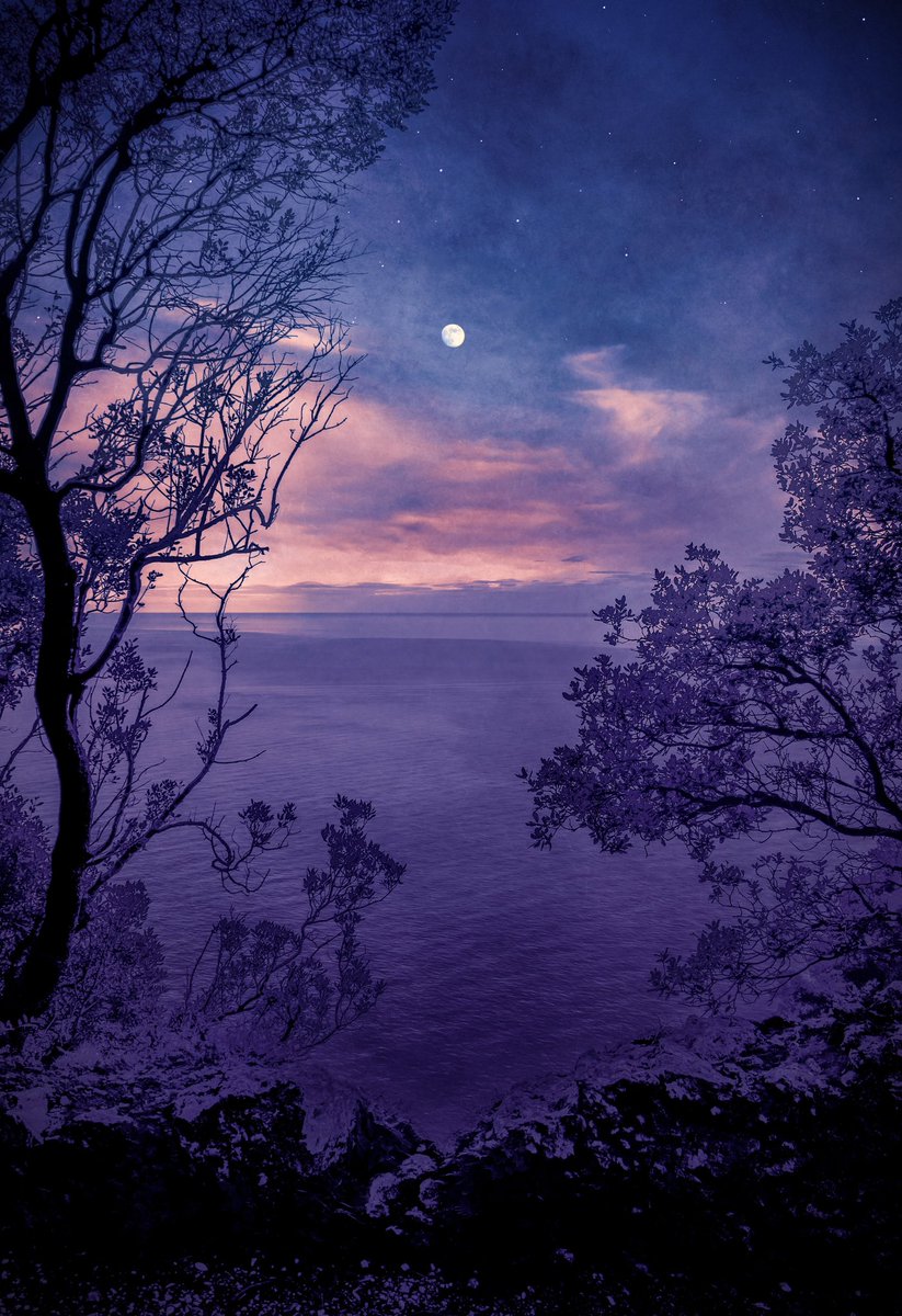 Samantha Cavet tweet media