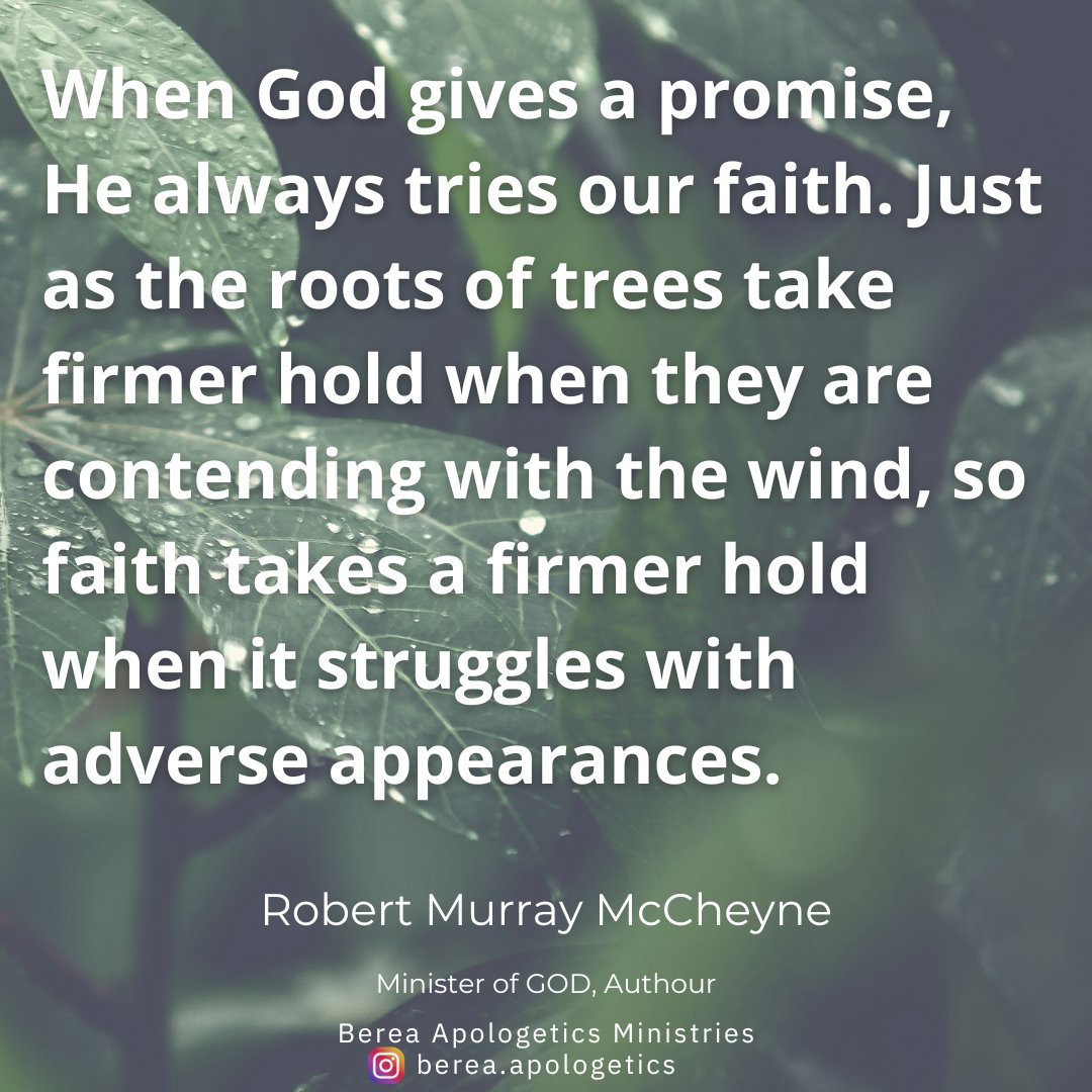 BereaApologeti1's tweet photo. Robert Murray McCheyne

#robertmurraymccheyne
#bereaapologetics
#faithandreason
#reasonablefaith
#askberea https://t.co/VBoC5pDDK4