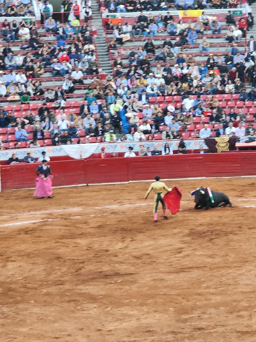 CaballoNegroII's tweet image. Standing 8 count... #OnEffect.