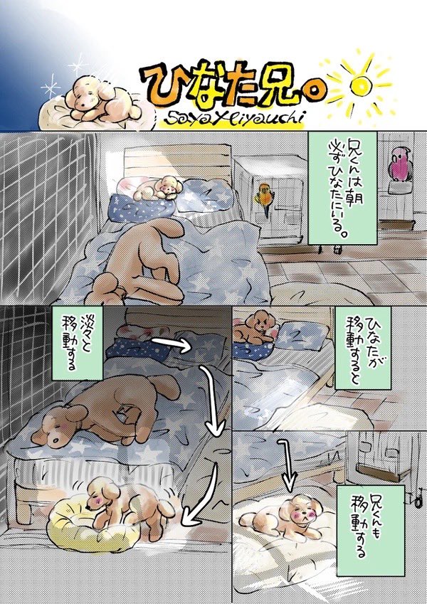 ひなたハンター兄。 