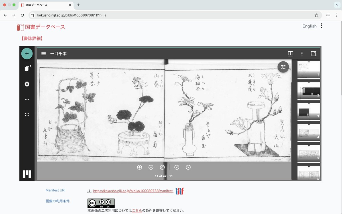 ukiyoe_adachi's tweet photo. #大河べらぼう に登場した『一目千本』。実際の資料を見てみたいという方、国書データベースで見られます。オススメは大阪大学の忍頂寺文庫のデータ。
https://t.co/9reILLXYpf

なぜかというと、各頁の「このコマに付けられたタグ」機能で、画中の #くずし字 が読めちゃうからです♪ https://t.co/RBBxeQ1Dav