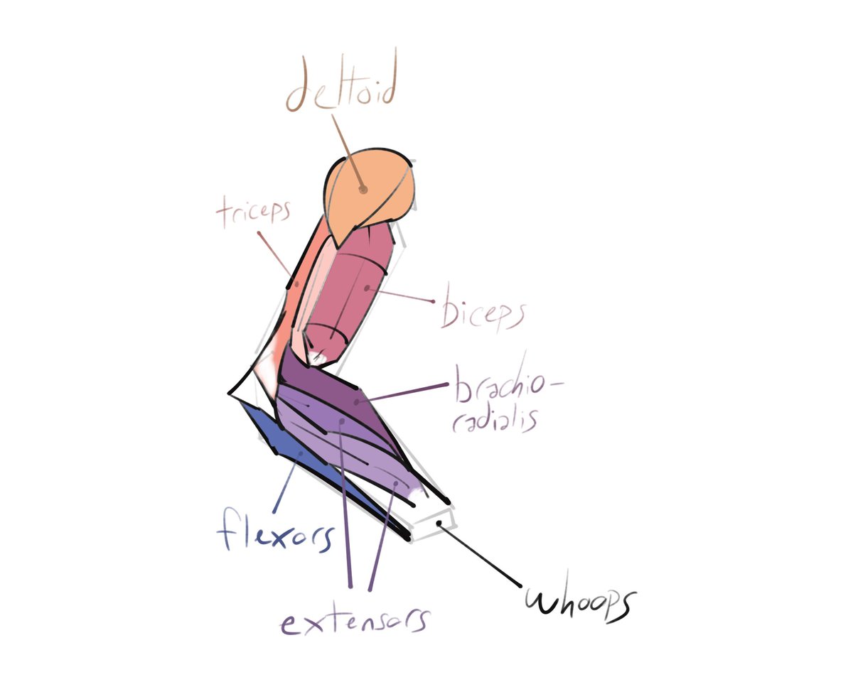 Rogues_Inkwell's tweet photo. Day 7: Anatomy Deep Dive! 🧠 Learning about muscles and how they work is fascinating. I'm using a reference image to help me understand. I'm feeling more confident with each day. #100DayChallenge #AnimeArt #LearningToDraw #AnatomyStudy
@cristiangarciaj @serisrosalinaross https://t.co/5ob8tey0AJ