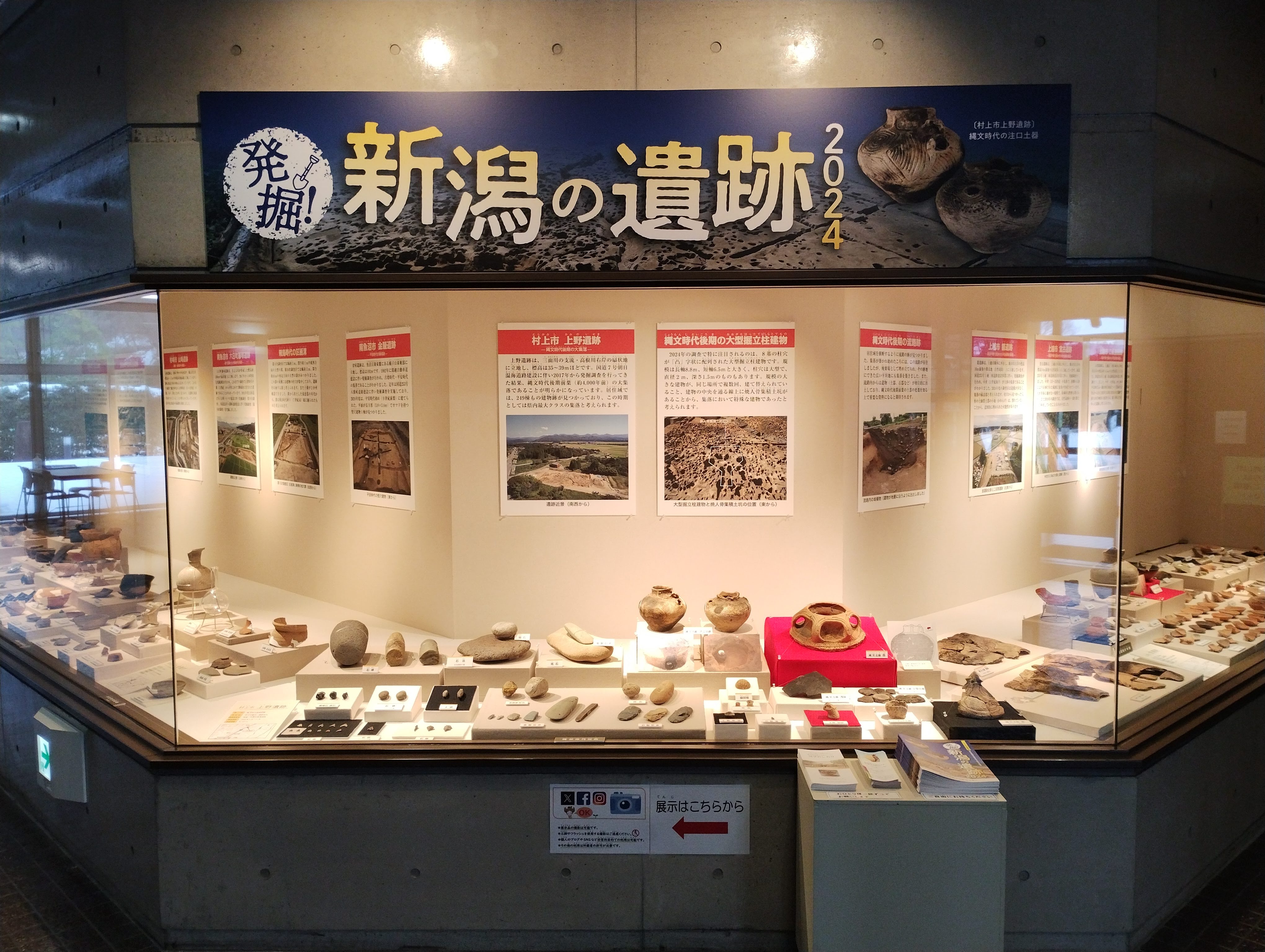 新潟市の蔵出し品 発掘品 大鉢 新潟市の蔵出し品 発掘品 大鉢