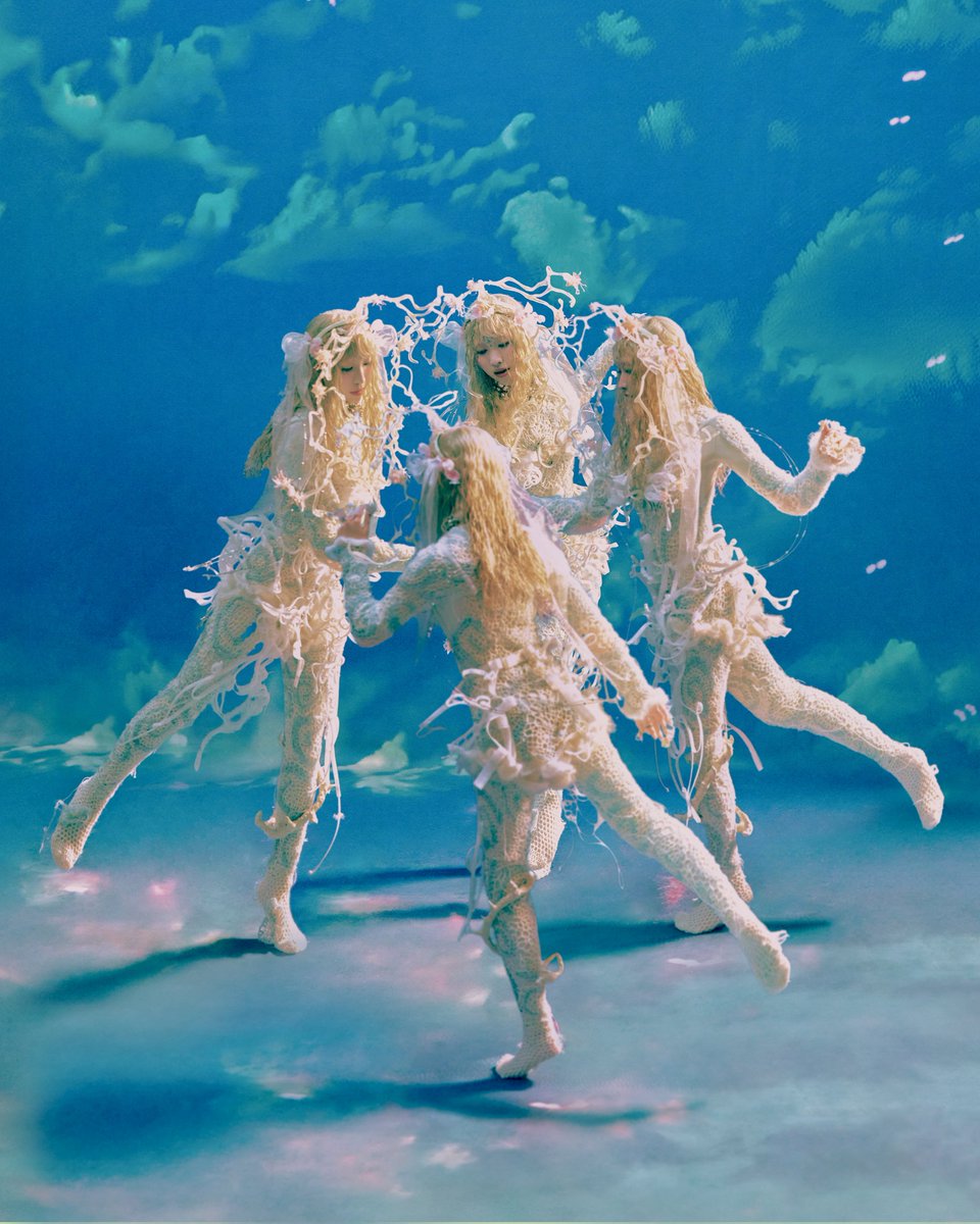 /ᐠ•。•ᐟ\ tweet media