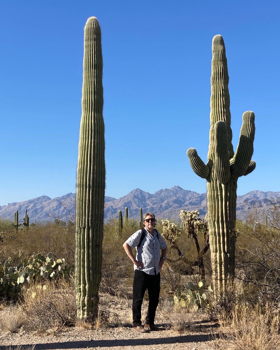 Caroline Gannon tweet media