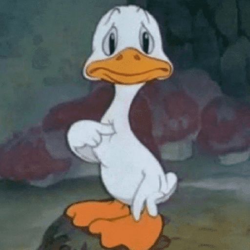 ciyiei's tweet photo. Noboa escuchando como todos le ponen de mal ejemplo e inútil #DebatePresidencial https://t.co/B0LBonj8CV