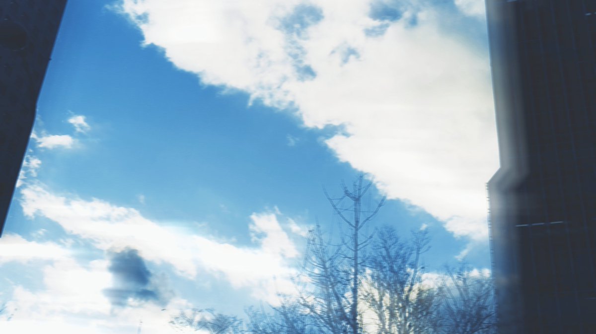 c_1784's tweet photo. 最近的一些

#photography https://t.co/9zeQvE0G1r