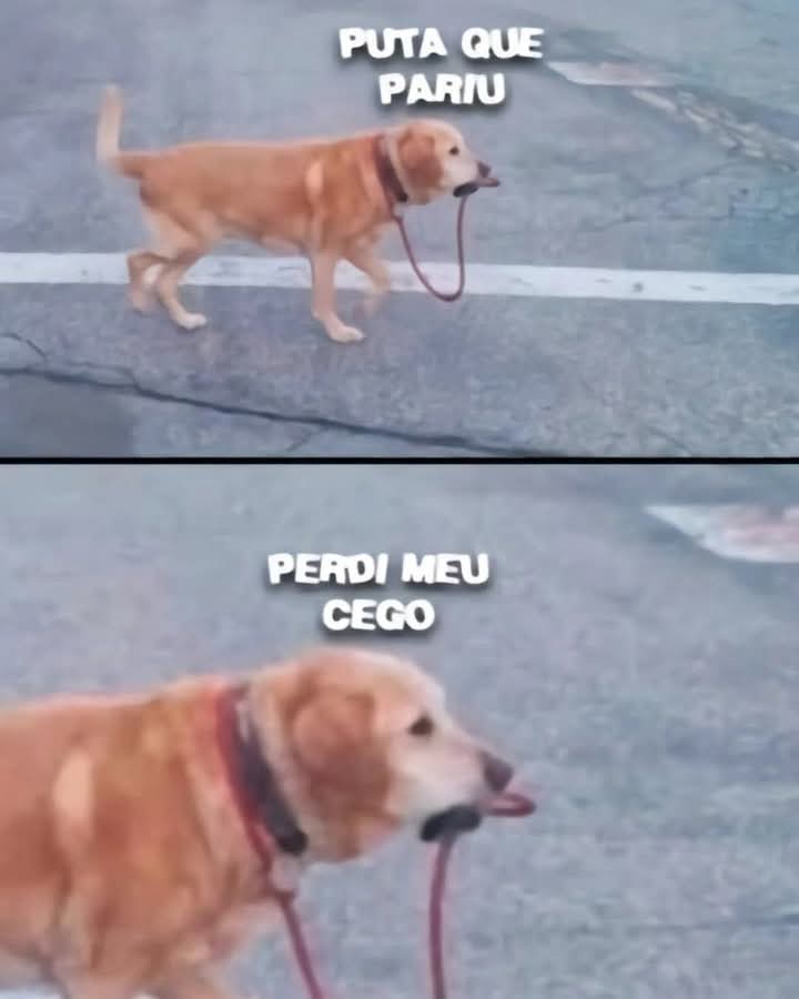 VicenteWulf's tweet image. En portugués porque así es más gracioso