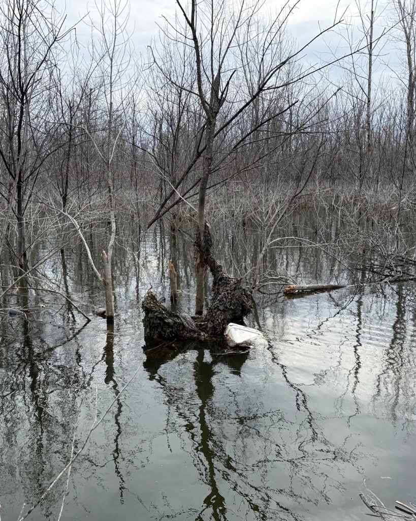 1/5 Last week, after hunting at Bois D'Arc Lake for several days, two experienced duck hunters from Louisiana found themselves in a dire situation. Their mud boat struck a tree around noon and sank, leaving them clinging to trees in 15 feet of cold water.