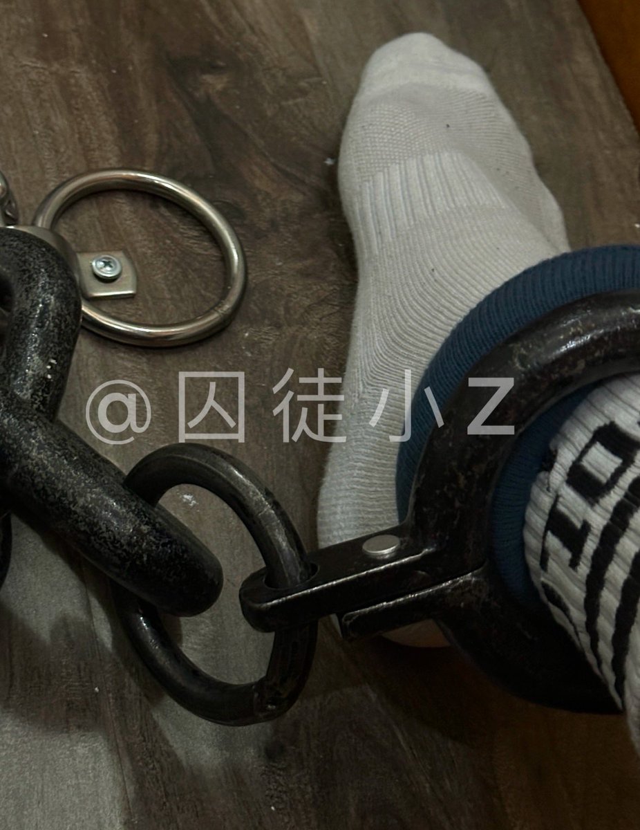 囚徒小Z tweet media
