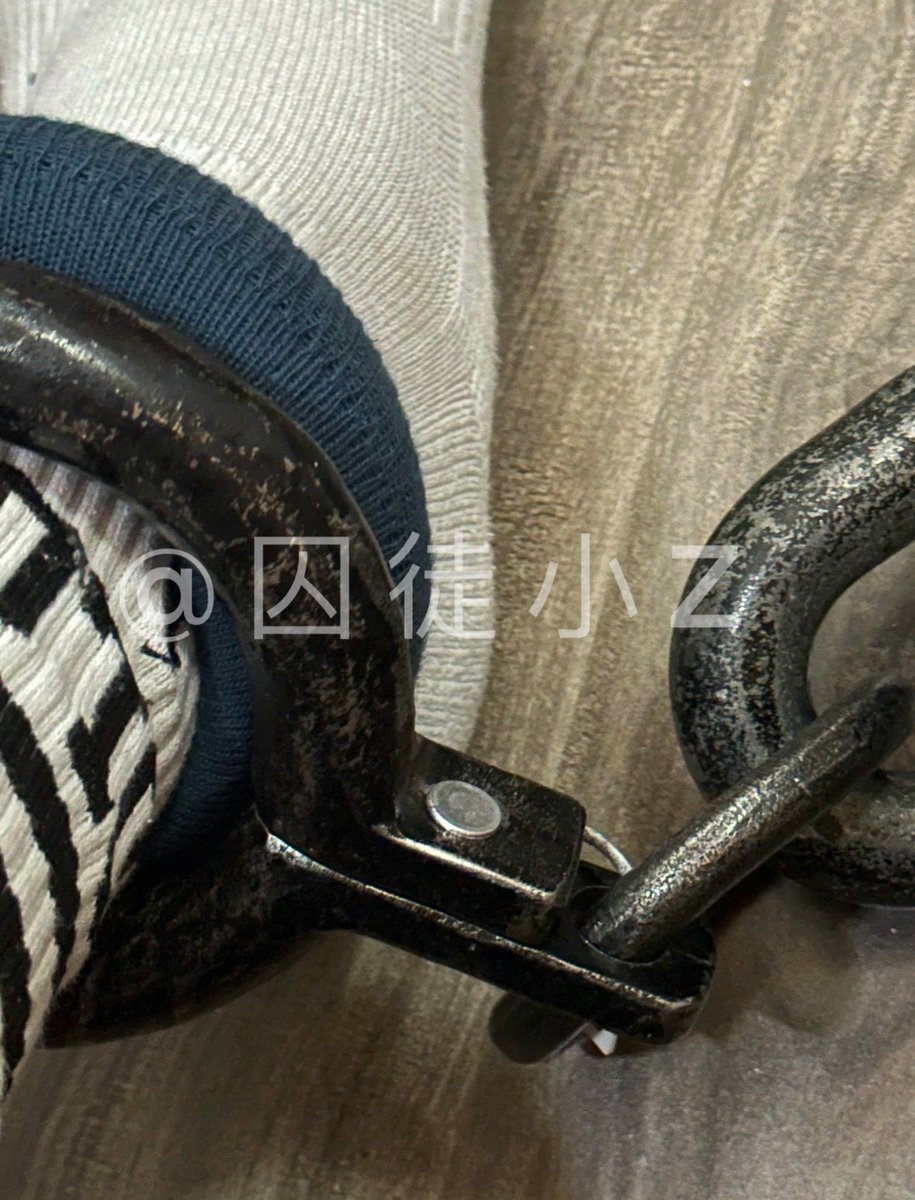 囚徒小Z tweet media