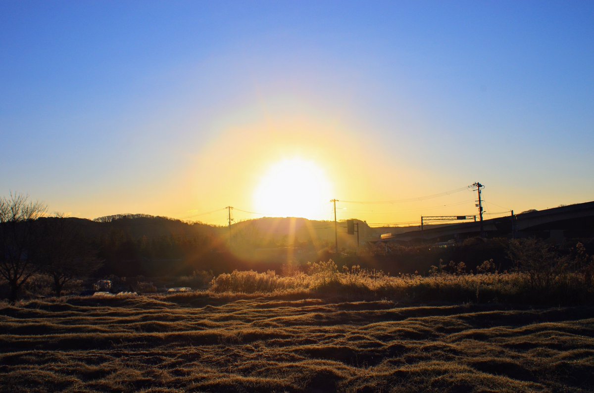 marrmk's tweet photo. 遅くなりましたが、今年も宜しくお願い致します！
年始から体調崩してたので、日の出と野鳥をK-5で今年初撮り！
#写真好きな人と繋がりたい 
#カメラ好きな人と繋がりたい https://t.co/o3qh2bkw9u