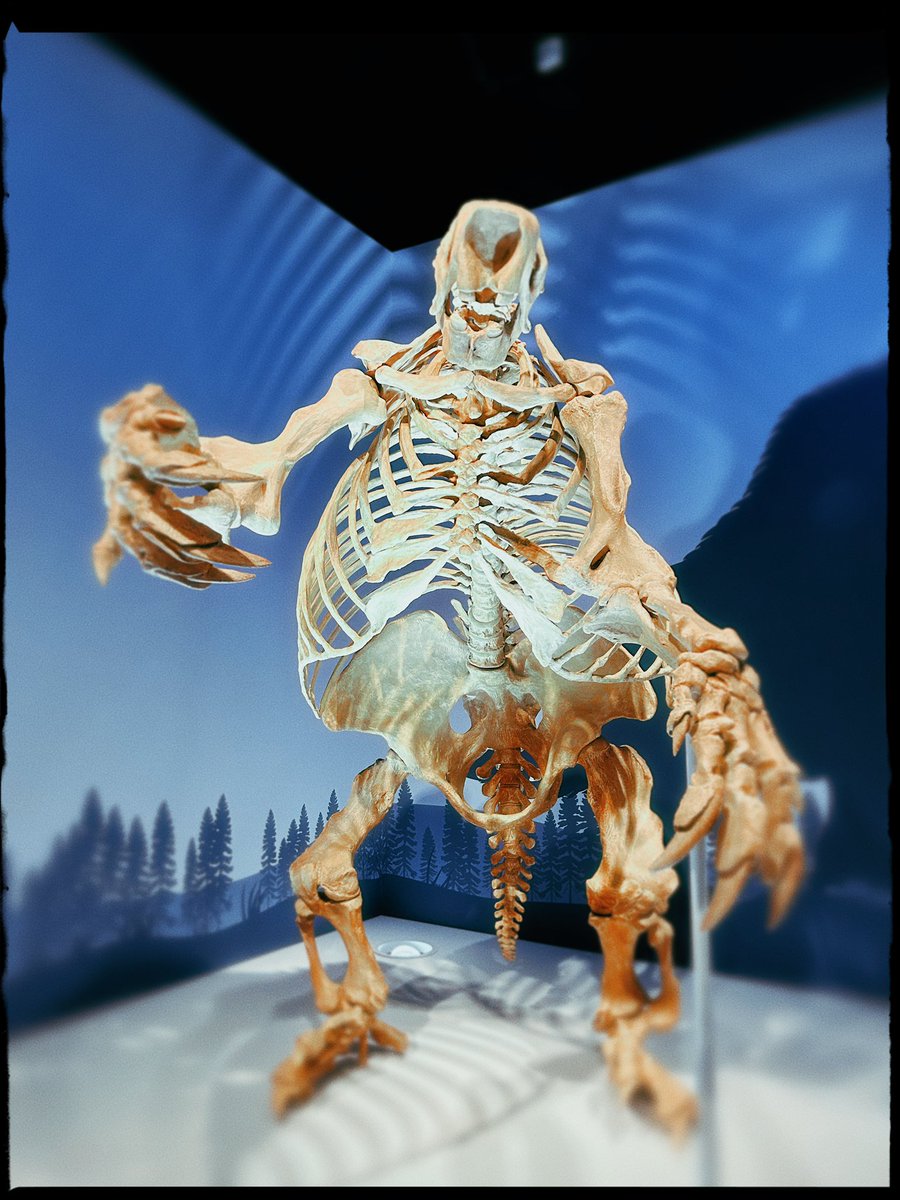 Kailey | Titanic was called the Ship of Dreams ⚓️ tweet media