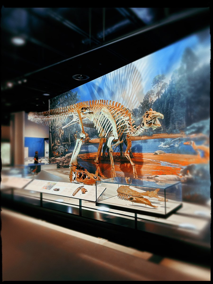 Kailey | Titanic was called the Ship of Dreams ⚓️ tweet media