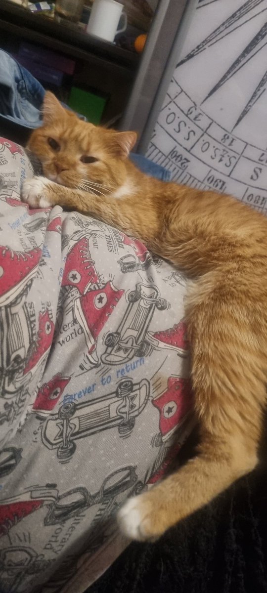 Frontier Radio tweet media