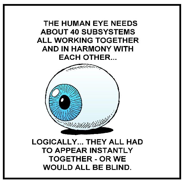 TheHistoryGuy07's tweet image. The eye is irreducibly complex. It never evolved, but was instead created. #IrreducibleComplexity