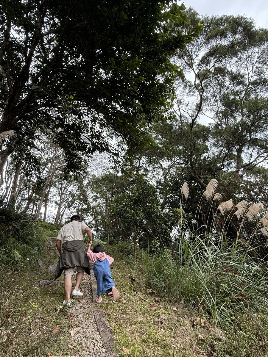每次開露營團 這些壞蛋都偷偷跑去拍照
回來後看到他們PO文才發現
終於
終於有在尊重我這個主辦 讓我享受齊人之福🤤🤤🤤

每次都這麼晚睡真的會扛不住啊😱

<a href="/wei0815ch/">William&Rebecca</a> 
<a href="/Jin_irene3/">🈲愛令jin&lrene</a> 
<a href="/swing_lover/">茵茵美黛子</a> 
<a href="/aohehex/">A&Z 情侶</a> 
<a href="/L1225D1014/">L&D</a> 
<a href="/EEAA6210/">獅子🦁&兔子🐰 新北夫妻</a> 
<a href="/Clairejimmy3/">克蕾米❤️（休息中）</a> 
<a href="/AAKK9395/">A&K台南假日夫妻</a> 
<a href="/HM2729/">布朗尼𝑩𝒓𝒐𝒘𝒏𝒊𝒆 ⅋ 布蘭妮𝑩𝒓𝒊𝒕𝒏𝒆𝒚 想怎樣</a> 
#乾帳太難收😏
#忘了拍團體照