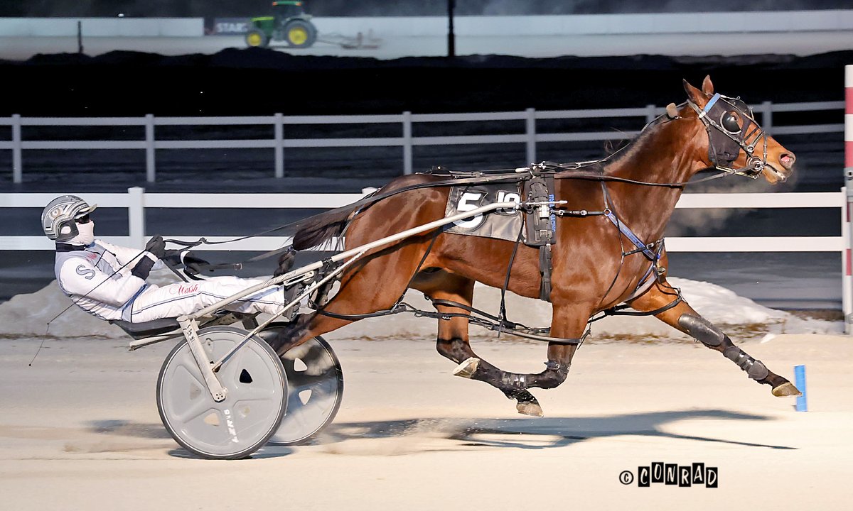 Bradley Conrad tweet media