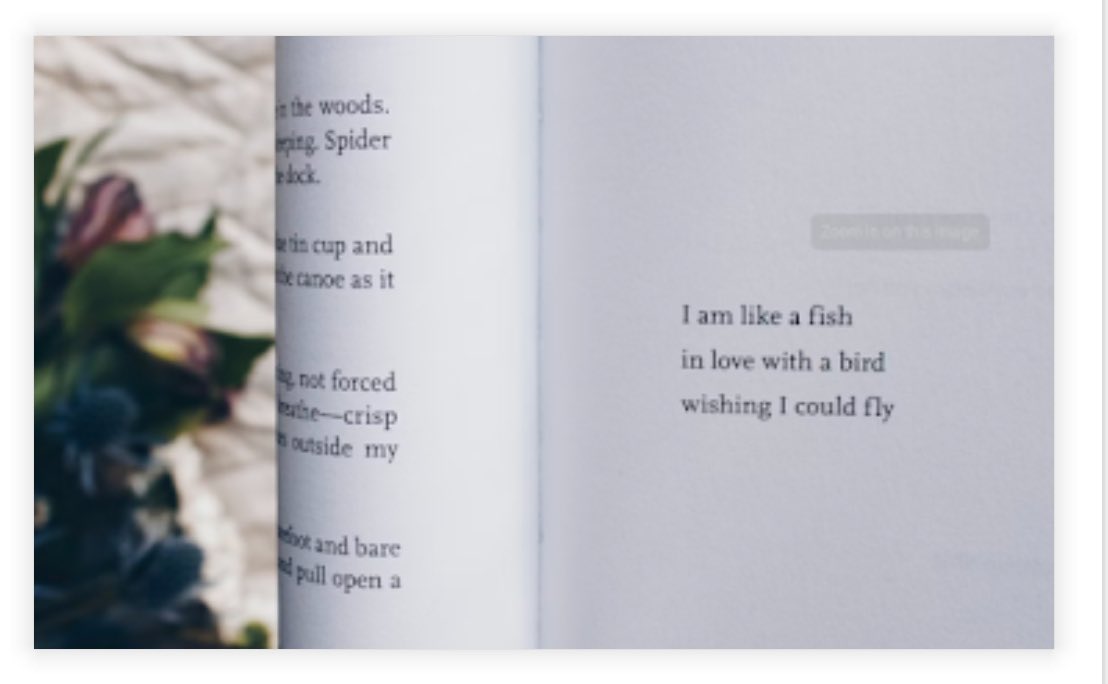 lmcdonell14's tweet image. pavementandpages.blogspot.com/2025/01/poems-… #chapter19 #800chapters #poetry #life