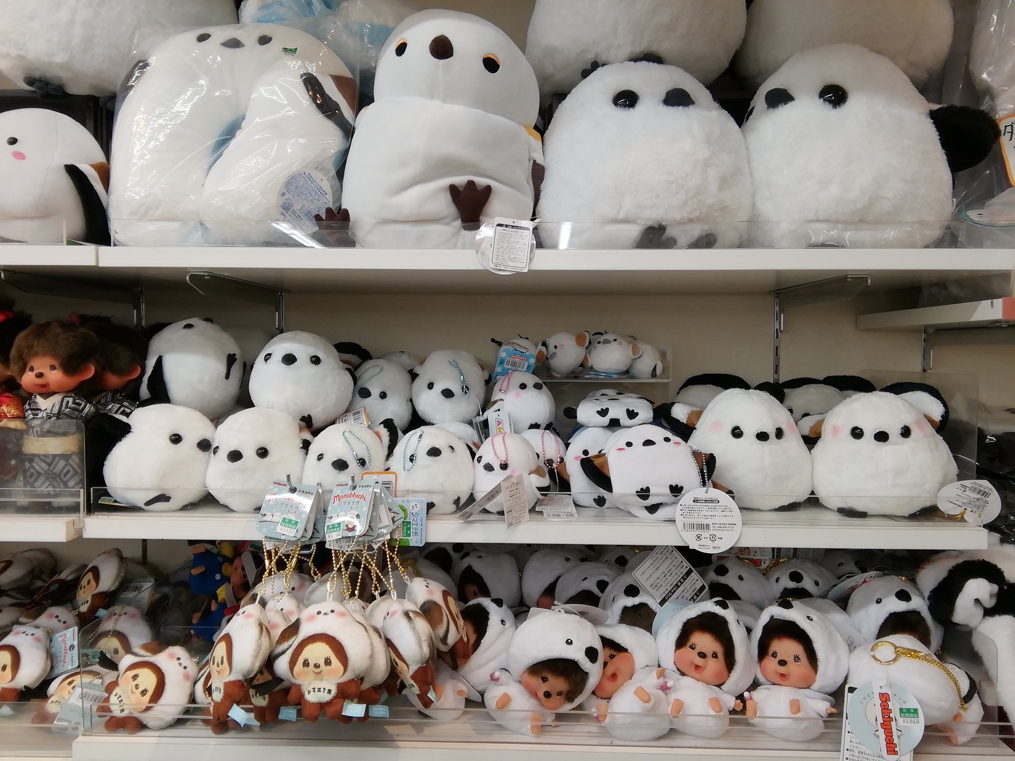 函館松岡商店 on X: 