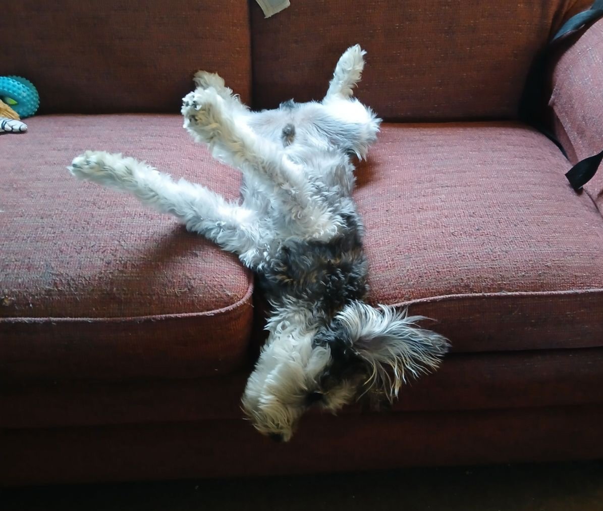 Nada Listless Vessel tweet media