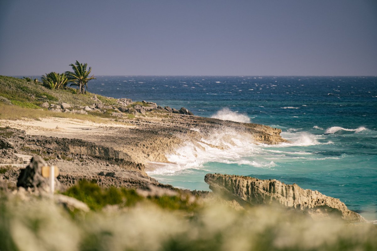 BahamasKFTour's tweet image. Pretty pics from @TheAbacoClub 🤩
@VisitTheBahamas | @KornFerryTour