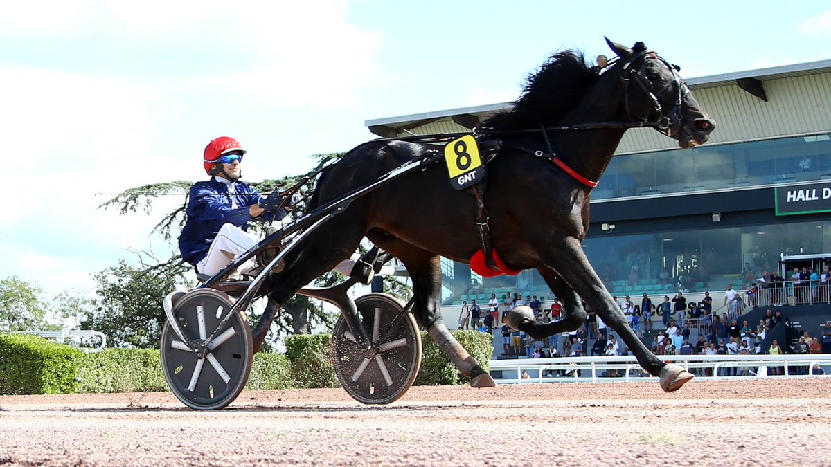 Unikk95's tweet photo. 👋20.01.25  

R3 VINCENNES 🇫🇷
🐴605 LIBERTE DU GOUTIER

  #Runnerstips #Horseracingtips https://t.co/jzTykDlwGz