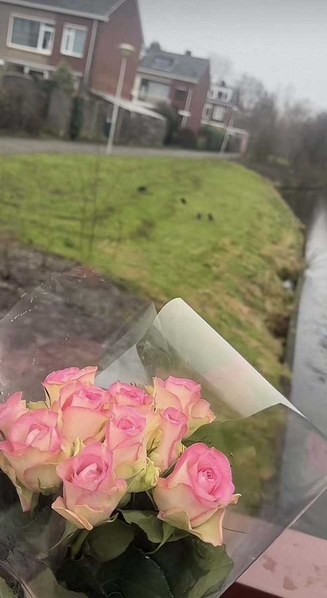 إذا لم ينقذنا شيء من الموت
فيجب على الأقل ان ينقذنا الحب من الحياه.
#Italia_Bologna
#Buongiorno