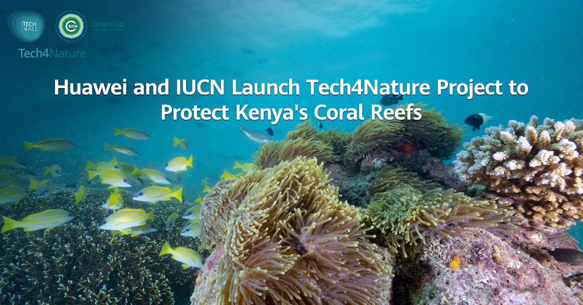 Huawei's tweet image. #Huawei, @IUCN, and KWS have launched a #Tech4Nature project in Kenya&apos;s Kisite-Mpunguti Marine Park to protect coral reefs and biodiversity using AI, underwater cameras, and real-time monitoring, empowering both conservation efforts and sustainable marine management.…